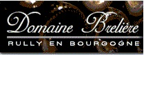Domaine Breliére - Rully
